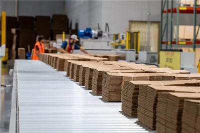 नालीदार पैकेजिंग उद्योग आउटलुक 2026: बॉक्स प्लांट के भविष्य को आकार देने वाले प्रमुख रुझान