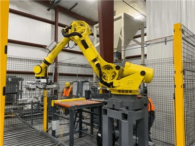 Robotic Bag Palletizer Robotic Bag Palletizer